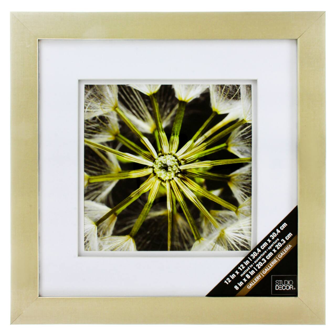Champagne Gallery Wall Frame With Double Mat By Studio Décor